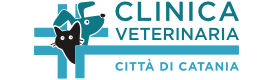 Logo Clinica Veterinaria Città di Catania Logo a colori Clinica Veterinaria Città di Catania