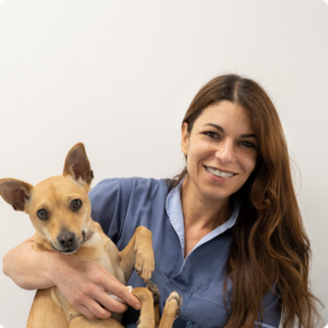 Dott.ssa Maria Cristina Carnazzo Dott.ssa Maria Cristina Carnazzo Medico Veterinario della Clinica Veterinaria Città di Catania