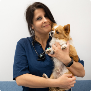 Dott.ssa Nicolina Fedele Dott.ssa Nicolina Fedele Medico Veterinario della Clinica Veterinaria Città di Catania