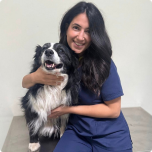 Dott.ssa Sara Demme Dott.ssa Sara Demme Medico Veterinario della Clinica Veterinaria Città di Catania