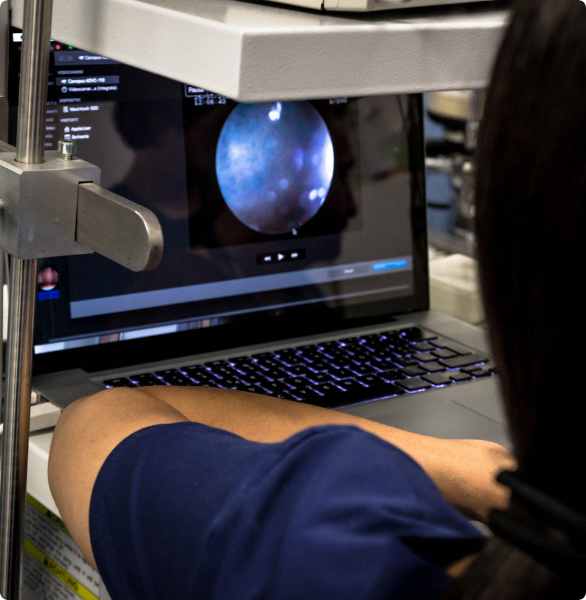 Indagine endoscopica Indagine endoscopica