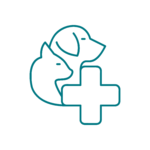 Pronto soccorso veterinario sempre attivo Pronto soccorso veterinario aperto 24 ore su 24 a Catania