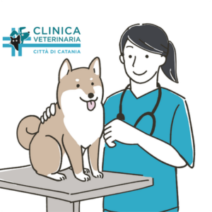 Veterinaria Avatar Veterinaria