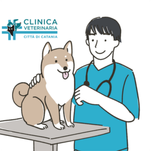 Veterinario Avatar Veterinario